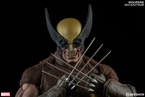 Wolverine 30 cm
